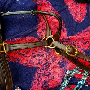 Bridle an breast collar 1 each